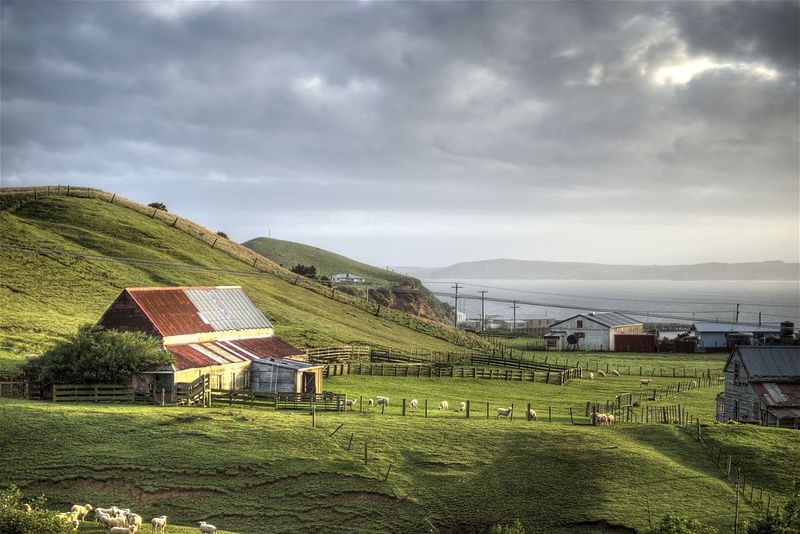 The-Chatham-Islands-community-is-necessarily-resilient-and-self-reliant.jpg