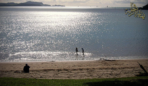 newpaihia3.jpg