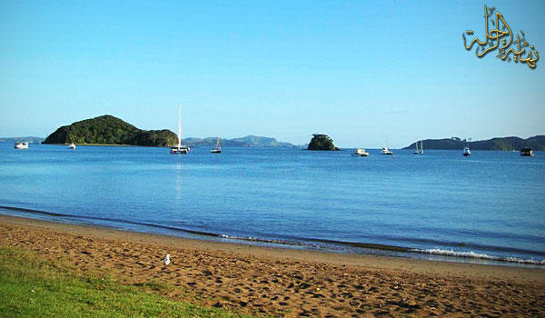 newpaihia8.jpg