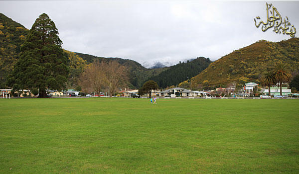 newpicton10.jpg