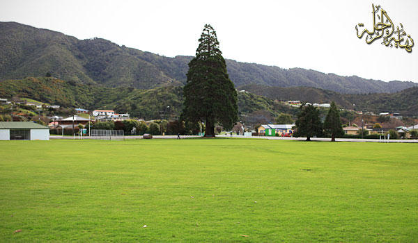 newpicton13.jpg