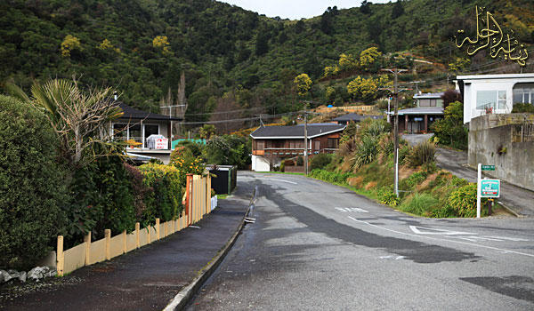 newpicton20.jpg