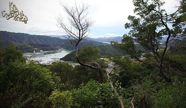 newpicton29.jpg