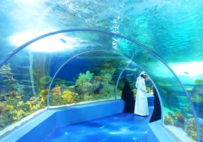 The-Fakieh-Aquarium-is-a-relatively-new-attraction-as-it-was-built-in-January-of-2013.jpg