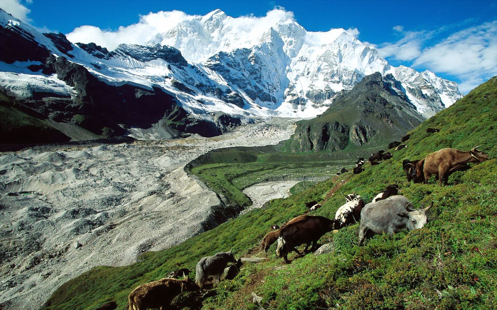 The-PanchenLama-was-deposed-in-1964-and-replaced-by-a-secularTibetan-leader.jpg