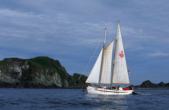 -gorgeous-little-MV-Swell-tugboat-has-been-brilliantly-reimagined-as-a-plush-12-passenger-vessel.jpg