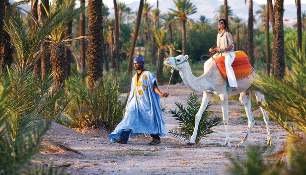 Menara-Gardens-are-gardens-located-to-the-west-of-Marrakech-Morocco.jpg