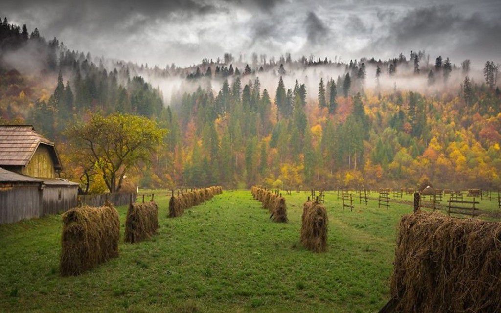 Rising-Fog-Over-The-Maramures.jpg