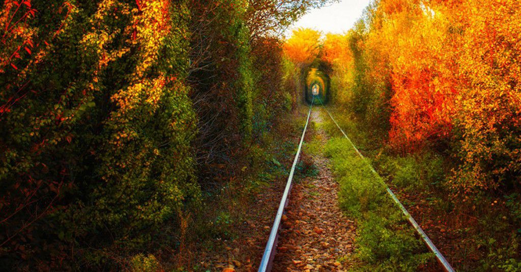 The-Romanian-Tunnel-of-Love-Otelu-Rosu-to-Caransebes.jpg