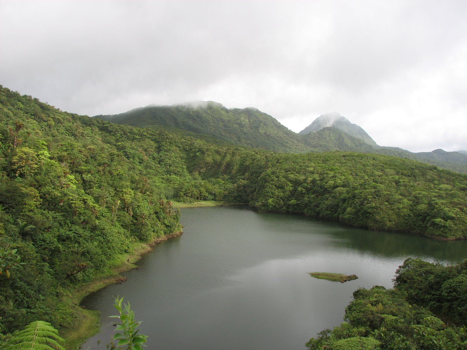 Morne-Trois-Pitons-National-Park-Dominica..jpg