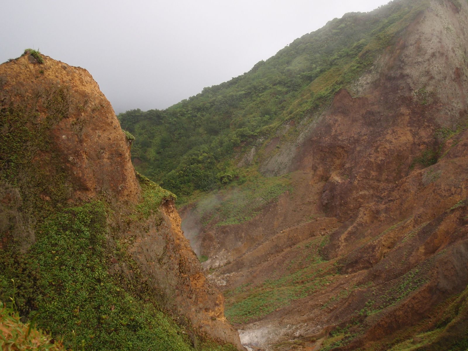 tional-Park-is-a-UNEP-World-Heritage-Site-located-in-the-Commonwealth-of-Dominica-East-Caribbean.jpg