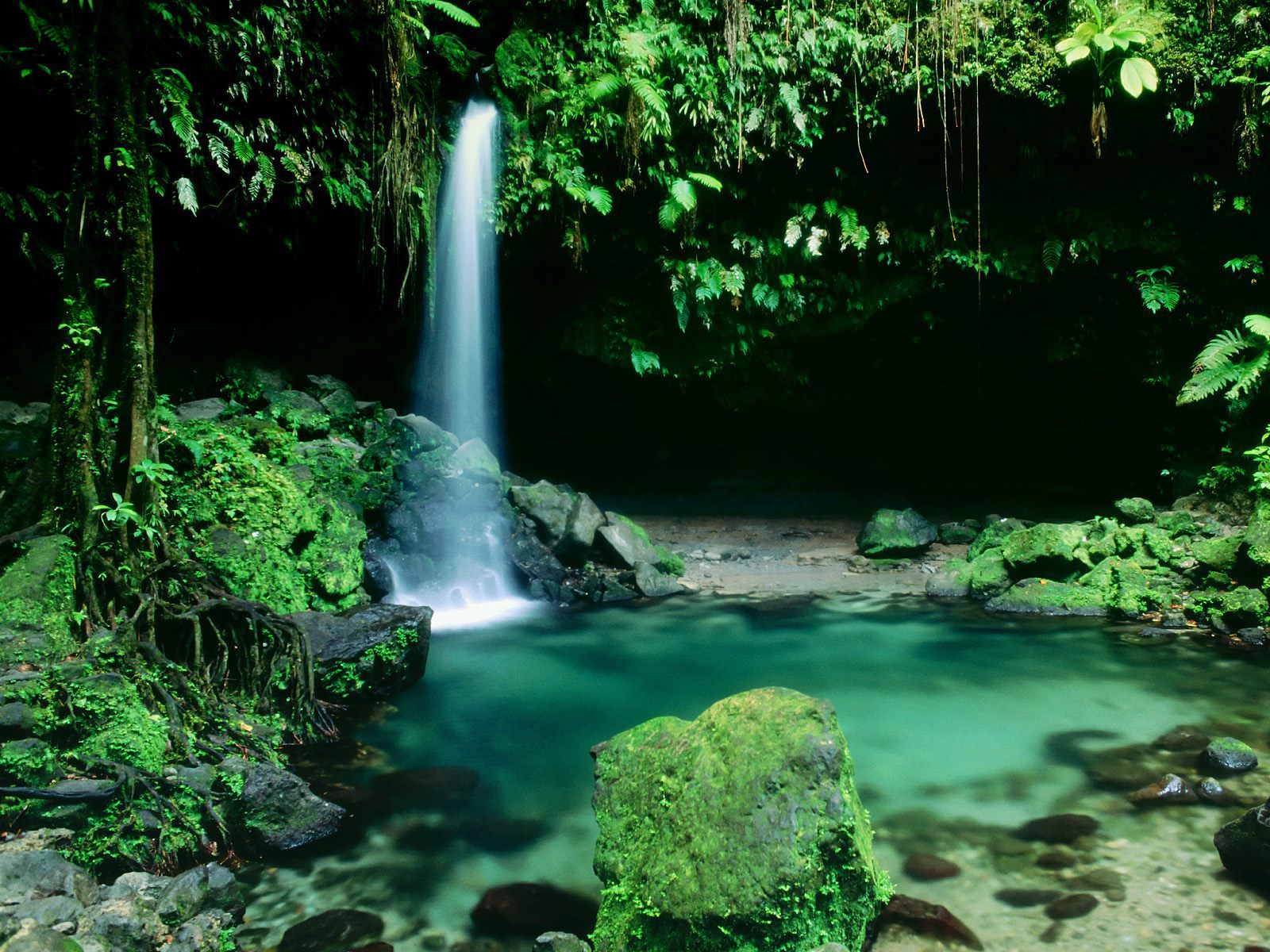 Morne-Trois-Pitons-National-Park-is-the-jewel-of-Dominica.jpg