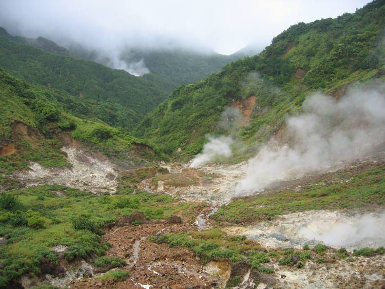 l-forest-blends-with-scenic-volcanic-features-of-great-scientific-interest-in-this-national-park.jpg