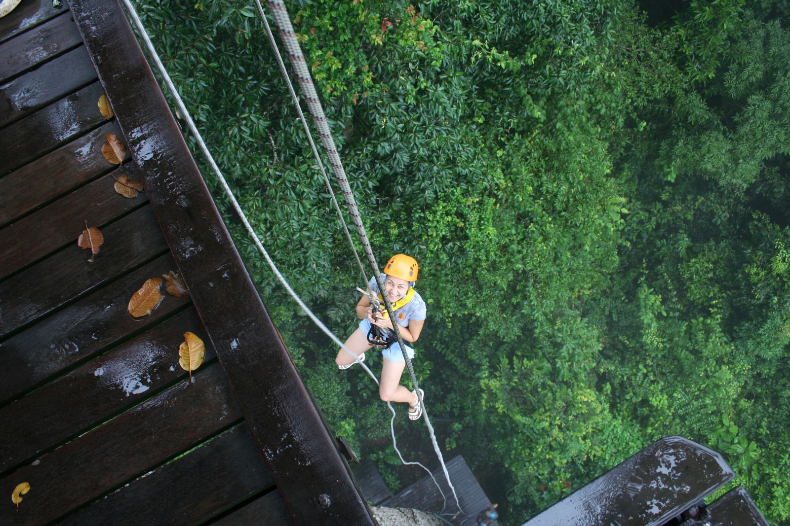 Flight-of-the-Gibbon-Bangkok-Thailand.jpg