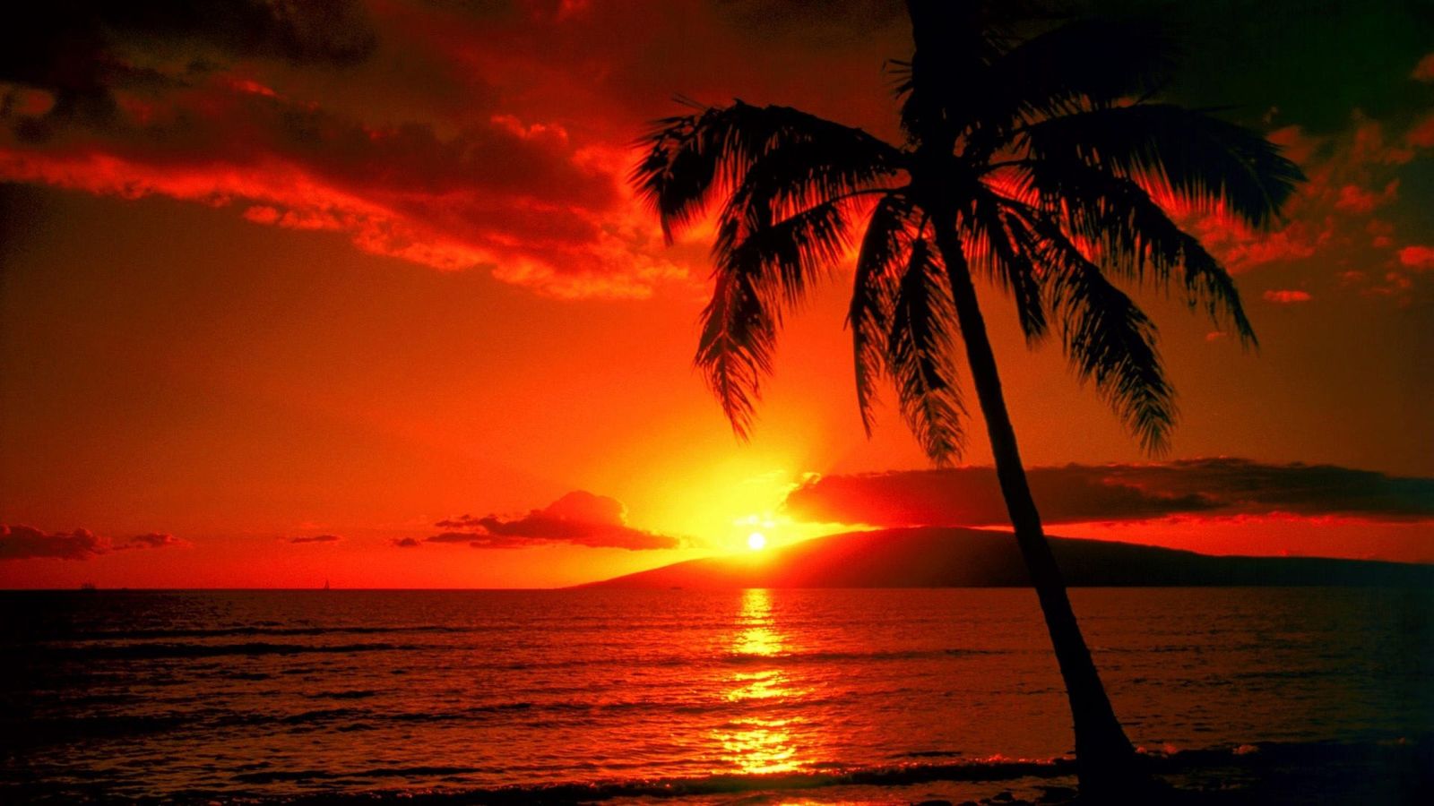 The-state-of-Hawaii-is-arguably-one-of-the-most-beautiful-states-in-the-United-States.jpg