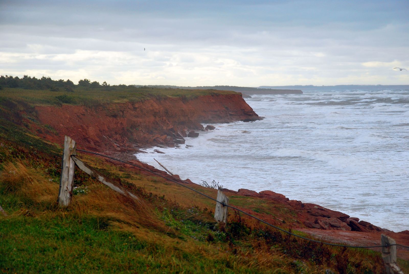 Beach-from-Prince-Edward-Island-with-light-house-in-the-background.jpg