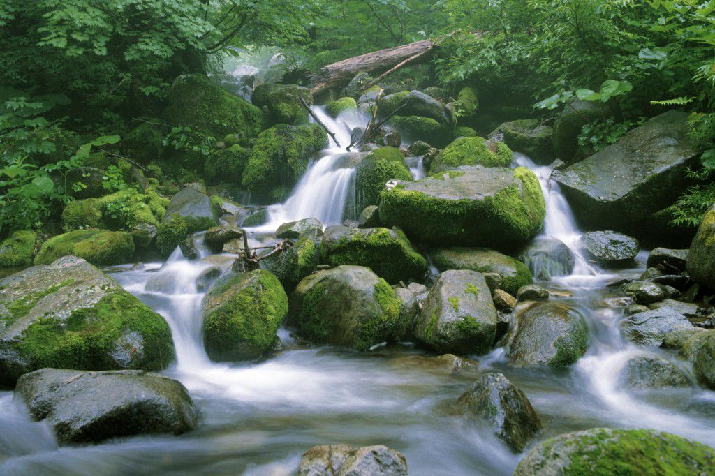 e-the-various-hiking-trails-that-lead-through-the-forests-to-waterfalls-mountain-peaks-and-lakes.jpg