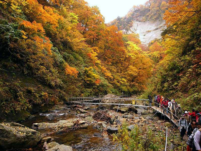 kami-Sanchis-forest-is-the-protected-World-Heritage-zone-that-is-not-usually-visited-by-tourists.jpg