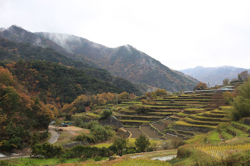 Ddoshima-is-part-of-Kagawa-Prefecture-and-is-located-north-of-the-prefectural-capital-Takamatsu..jpg