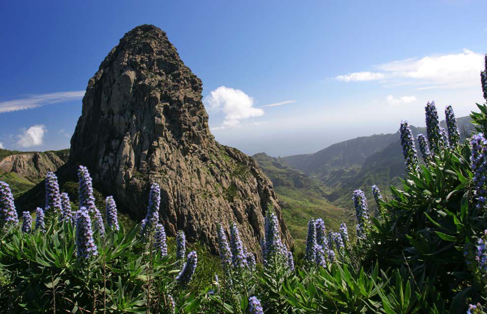 l-and-a-typical-Canary-Island-in-the-sense-that-the-north-has-a-different-climate-than-the-south.jpg