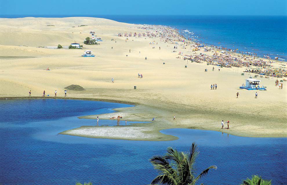 island-in-the-archipelago-the-island-is-also-home-to-the-capital-city-Las-Palmas-de-Gran-Canaria.jpg