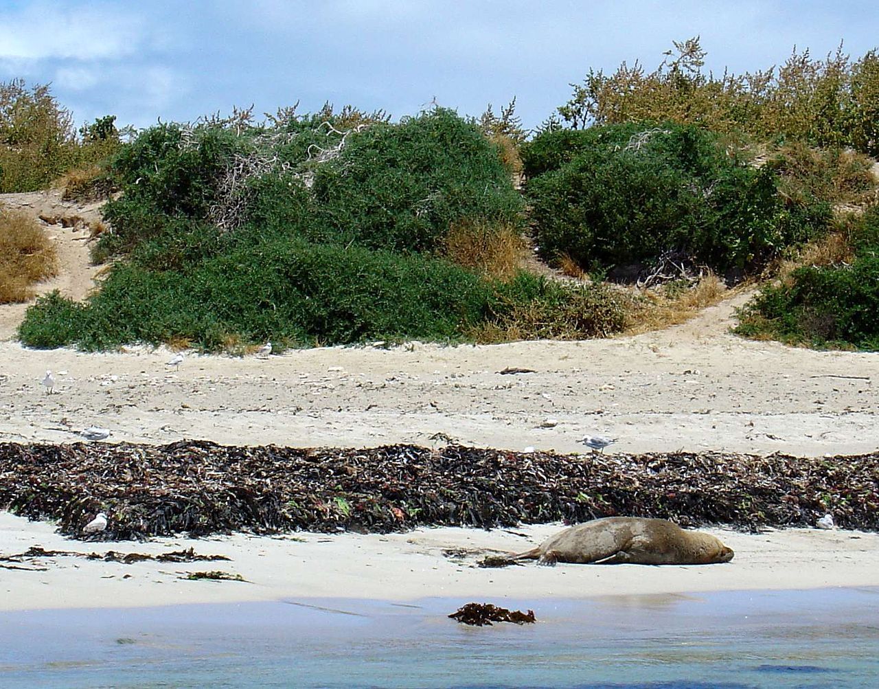 lands-and-rocks-situated-along-a-stretch-of-355-kilometres-221-mi-along-the-coastline-of-Namibia.jpg