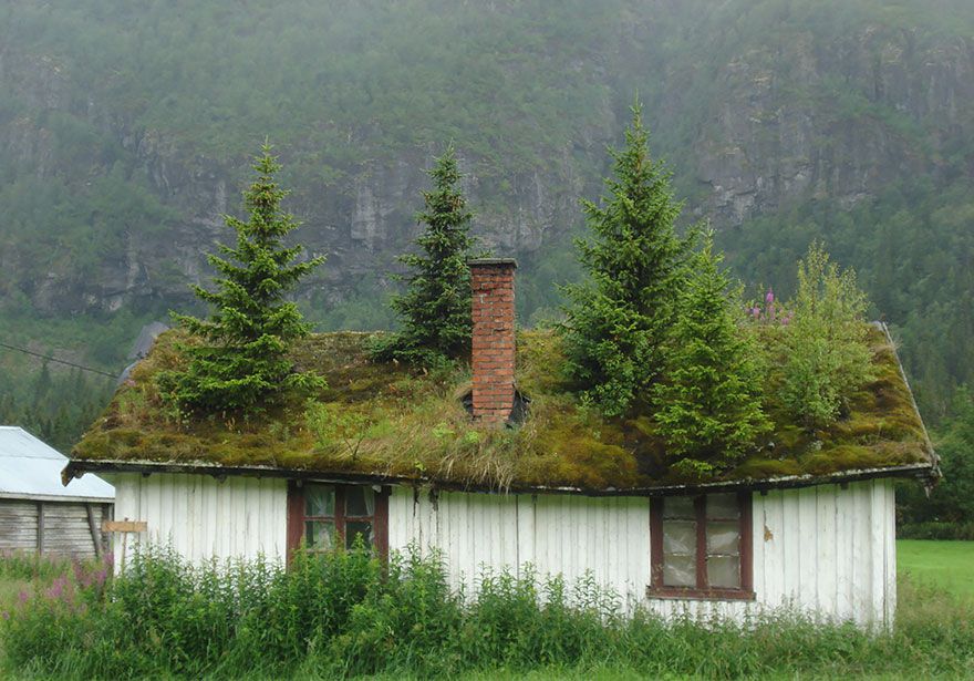 House-In-Norway.jpg