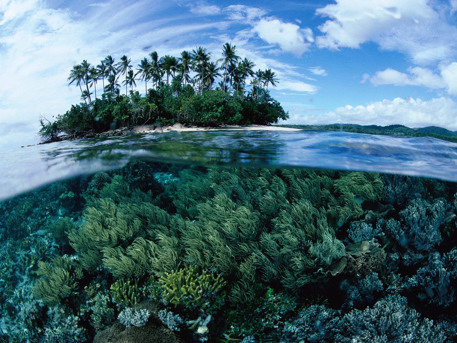 New-Guinea-island.jpg