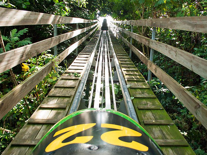 jamaica-rainforest-bobsled-jamaica-at-mystic-mountain.jpg