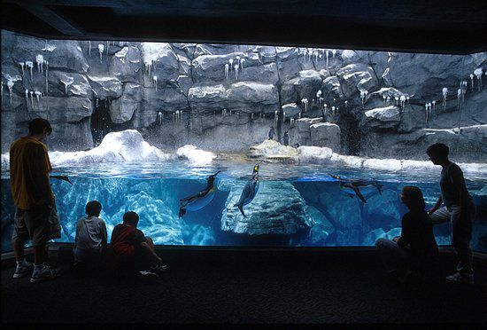 pittsburgh-zoo-ppg-aquarium.jpg