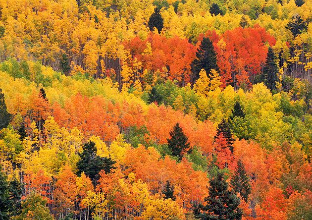 one-of-the-most-ecologically-significant-pieces-of-land-in-the-southern-Rocky-Mountain-ecosystem.jpg