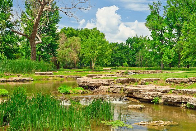 Ponds-gardens-and-various-attractions-which-include-the-St-Louis-Zoo-and-the-St-Louis-Art-Museum.jpg