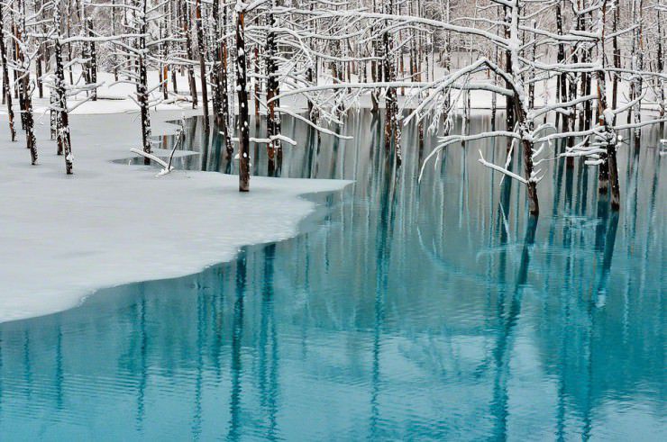 The-pond-is-famous-for-its-incredibly-blue-water-color.jpg