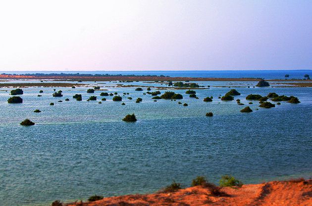 Beautiful-Seneyah-Island-just-a-short-drive-from-Umm-Al-Quwain.jpg