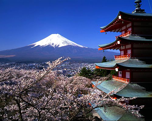 mount-fuji-Sakura-castle.jpg