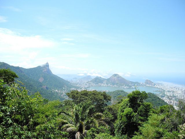 Tijuca-National-Park.jpg