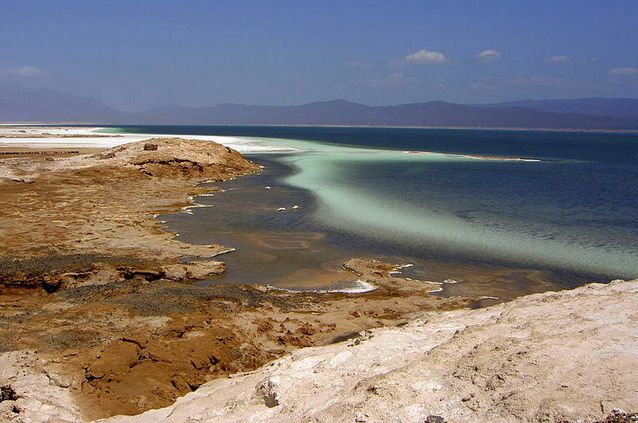 hile-on-a-tour-to-Djibouti.-It-is-supposed-to-be-a-haven-for-the-marine-treasures-of-the-Red-Sea.jpg