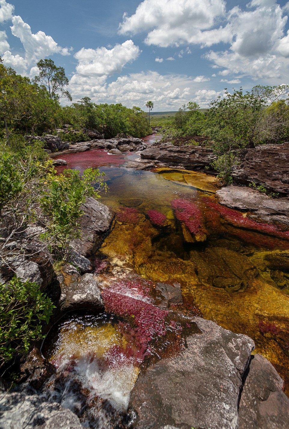 The-clean-and-clear-waters-offer-tourists.jpg