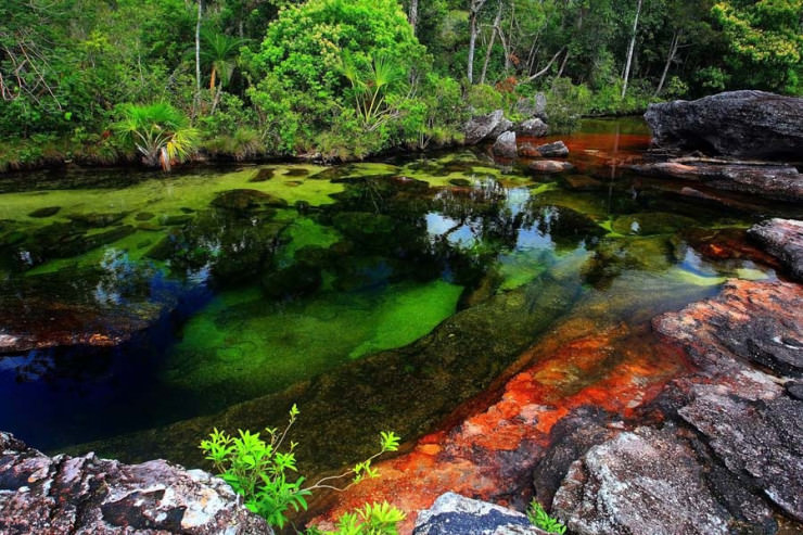 Ca%C3%B1o-Cristales-Meta-Department-Colombia.jpg