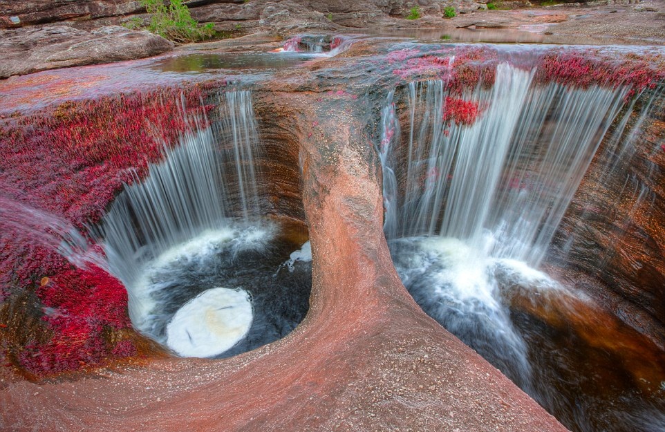 tzite-rocks-of-the-Serrania-de-la-Macarenia-tableland-formed-approximately-1.2-billion-years-ago.jpg