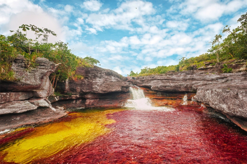 the-River-of-Five-Colors-in-Colombia.jpg