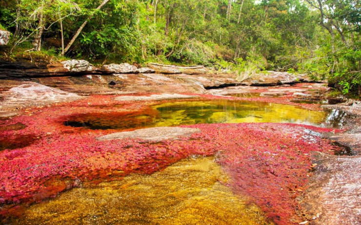 The-water-of-the-river-is-extremely-clean-due-to-the-lack-of-nutrients-and-small-particles.jpg