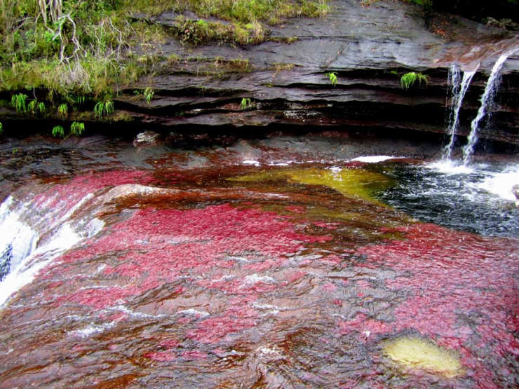 The-Serran%C3%ADa-de-la-Macarena-is-located-on-the-border-of-three-large-ecosystems.jpg