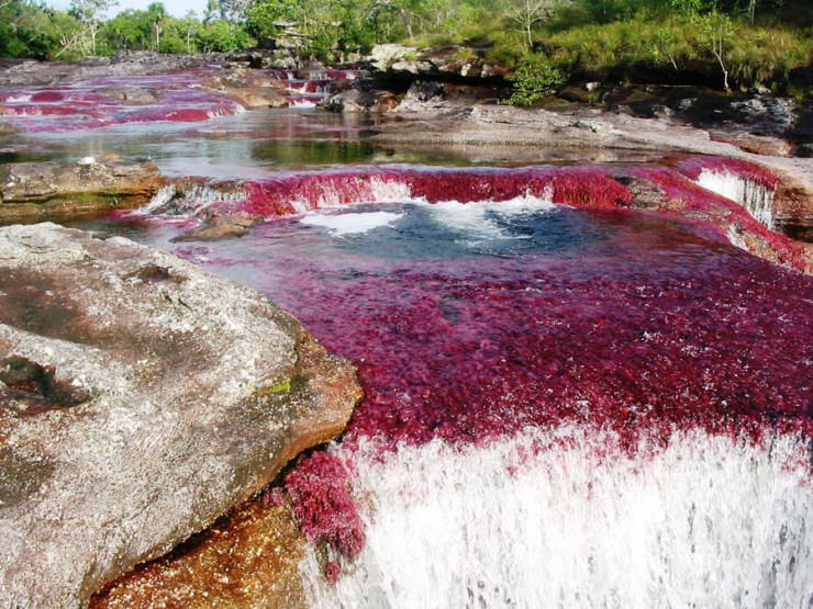 A-popular-time-to-visit-Ca%C3%B1o-Cristales-is-from-late-July-to-early-December..jpg