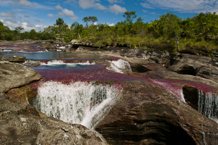 is-the-bright-red-pink-coloration-of-riverbed-after-the-rainy-period-in-the-end-of-July-November.jpg