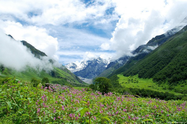 Valley-of-Flowers-Natonal-Park-in-India-is-one-of-my-personal-favorites-on-this-list..jpg