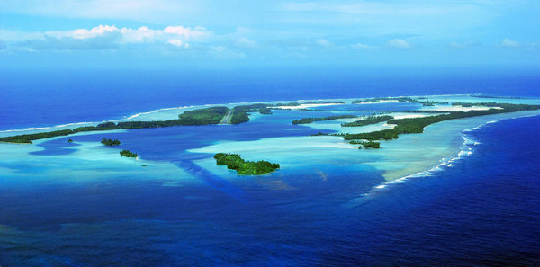 The-islands-contains-one-of-the-largest-remaining-stands-of-Pisonia-beach-forest-in-the-Pacific.jpg