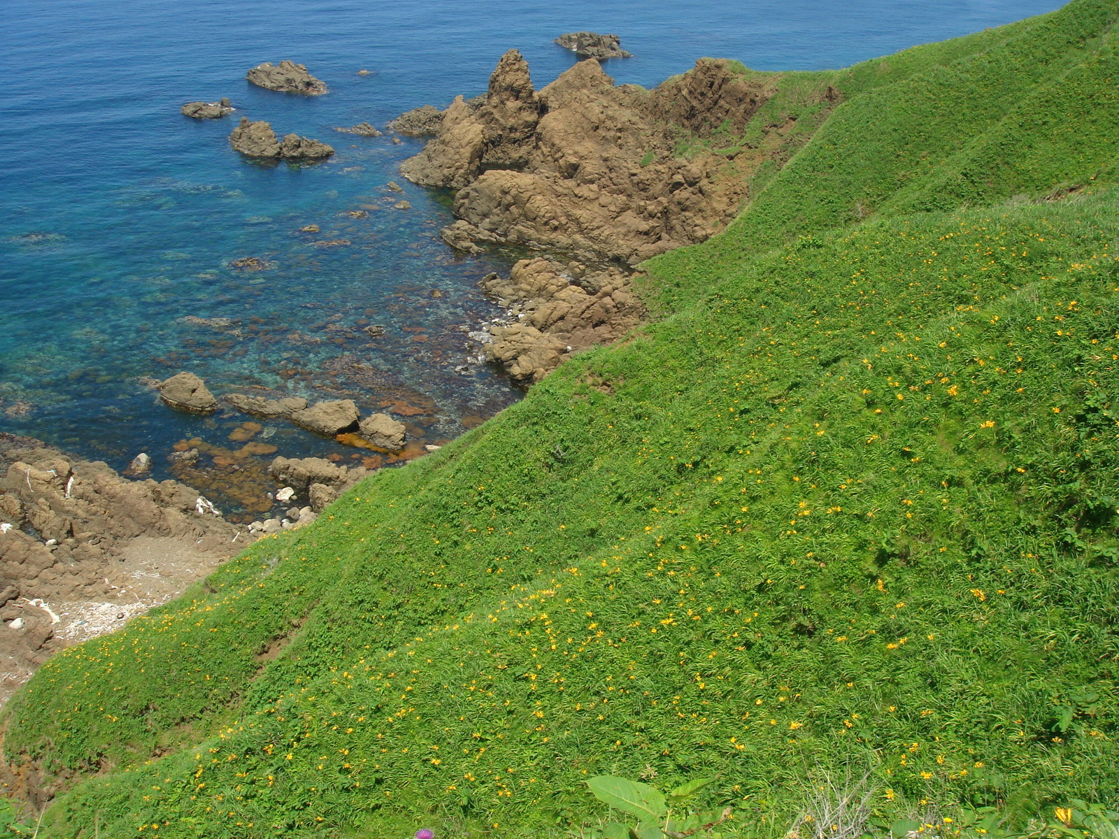 Sado-Island-The-big-green-bit-is-Japan..jpg