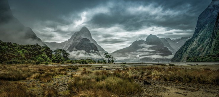 Fjordland-New-Zealand.jpg