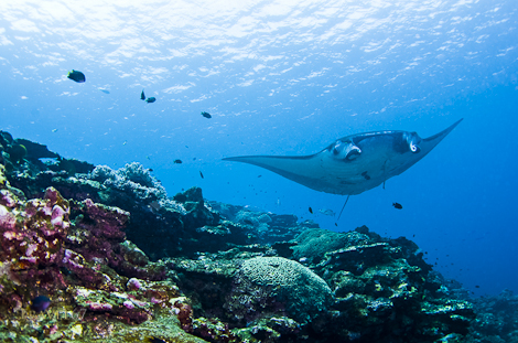 Ishigaki-Island-Okinawa.jpg